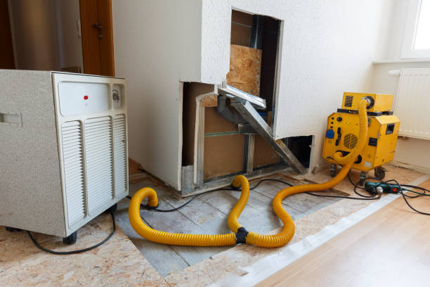 Best Dehumidification Services  in Sunny Isles Beach, FL